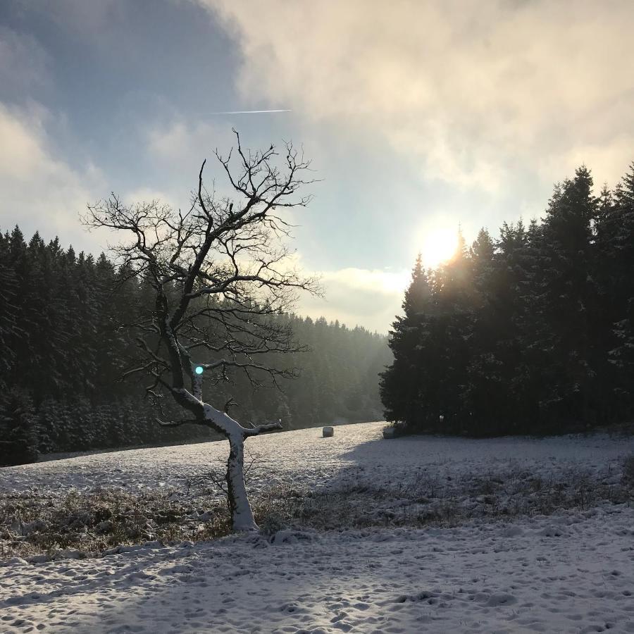 Chalet De Charme, Le "Caribou Lodge", Eifel Belge Bullange Exterior foto